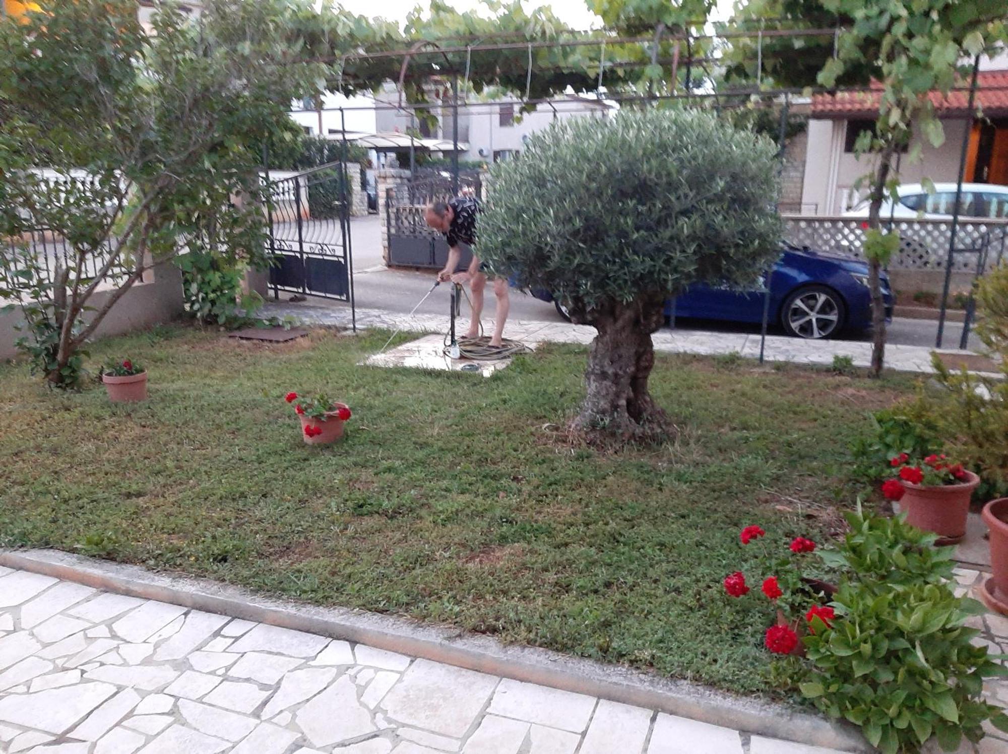 Apartment Stefania Rovinj Cameră foto